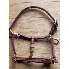 Griffinbrook leather mini/pony grooming halter