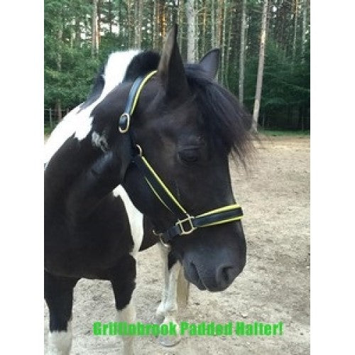 Griffinbrook padded halter for draft