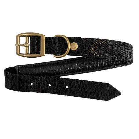 Kensington padded dog collar