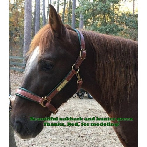 Griffinbrook padded halter for pony/cob/horse in oakbark with brass