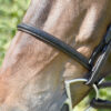 Bobby's 161 braided front bridle