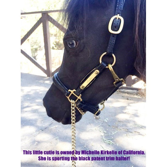 Griffinbrook padded leather halter for minis and ponies in black leather