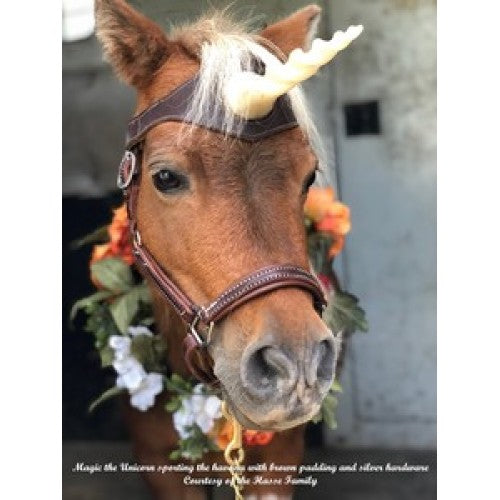 Griffinbrook padded leather mini/pony halter in havana with chrome hardware